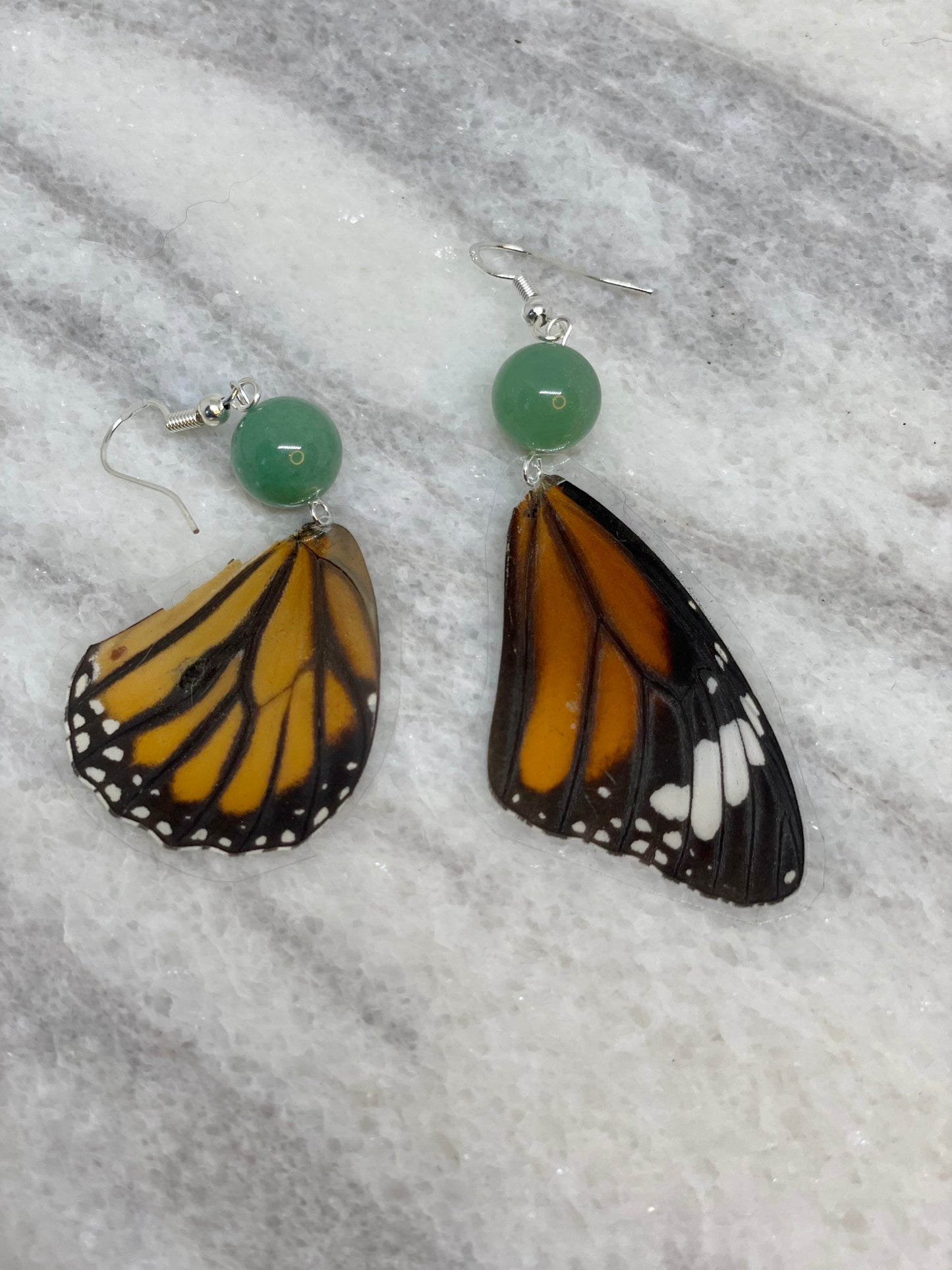 Real Monarch Butterfly Wing Earrings