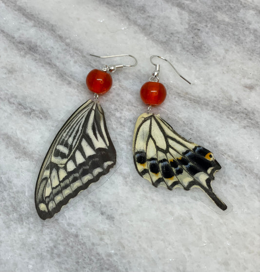 White Real Butterfly Wing Earrings