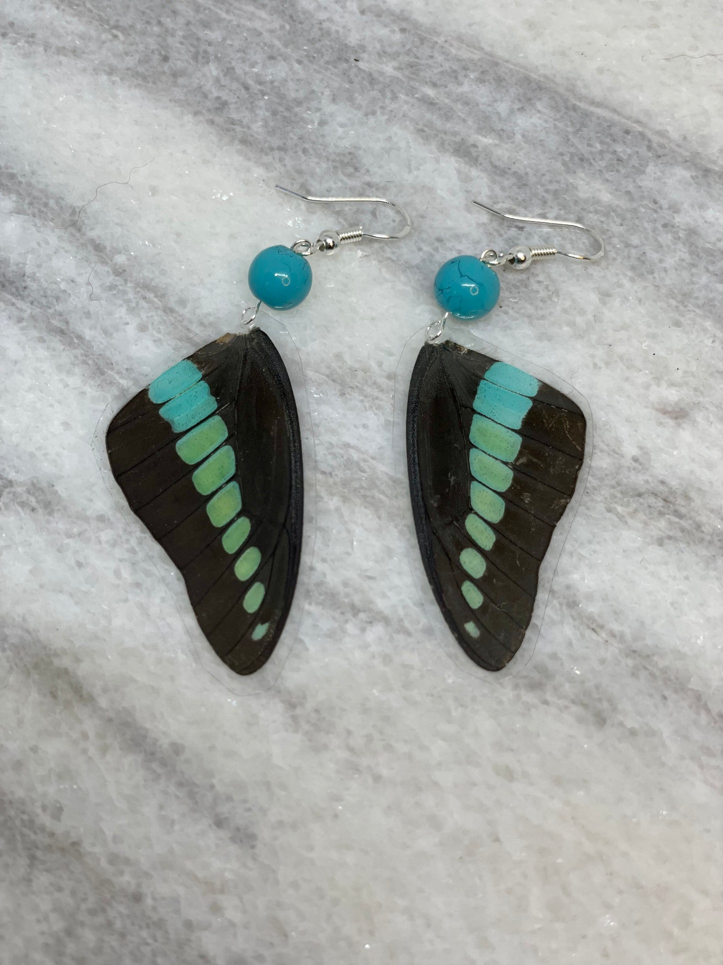 Teal Real Butterfly Wing Earrings