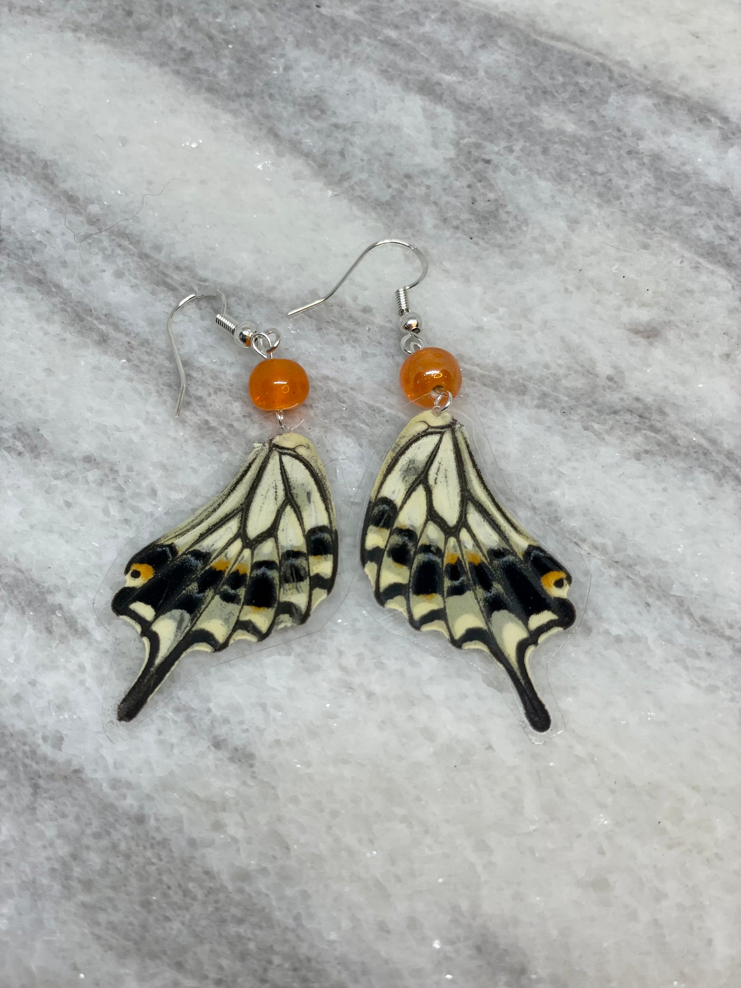 Black Spotted Real Butterfly Wing Earrings