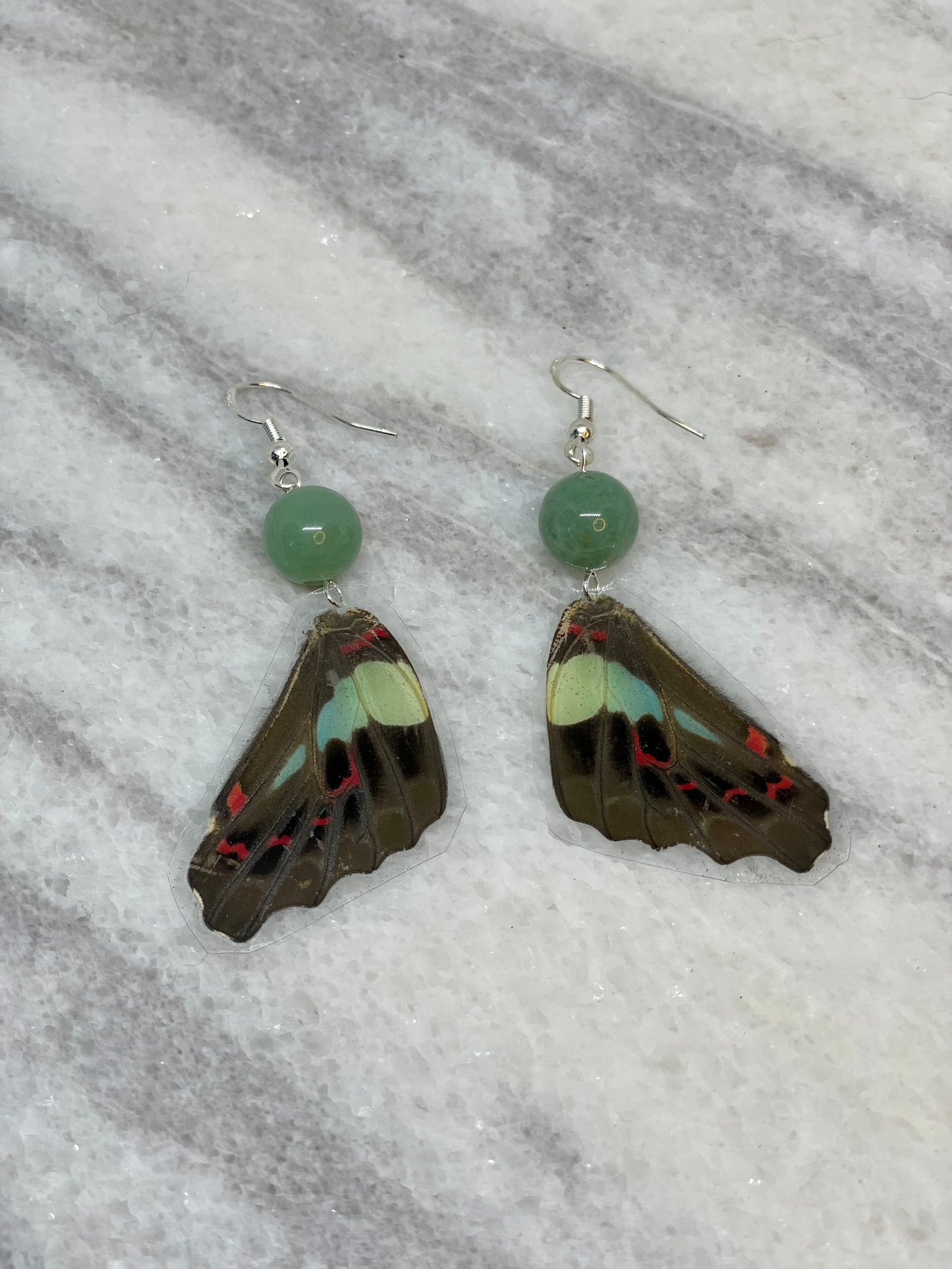 Spotted Real Butterfly Wing Earrings