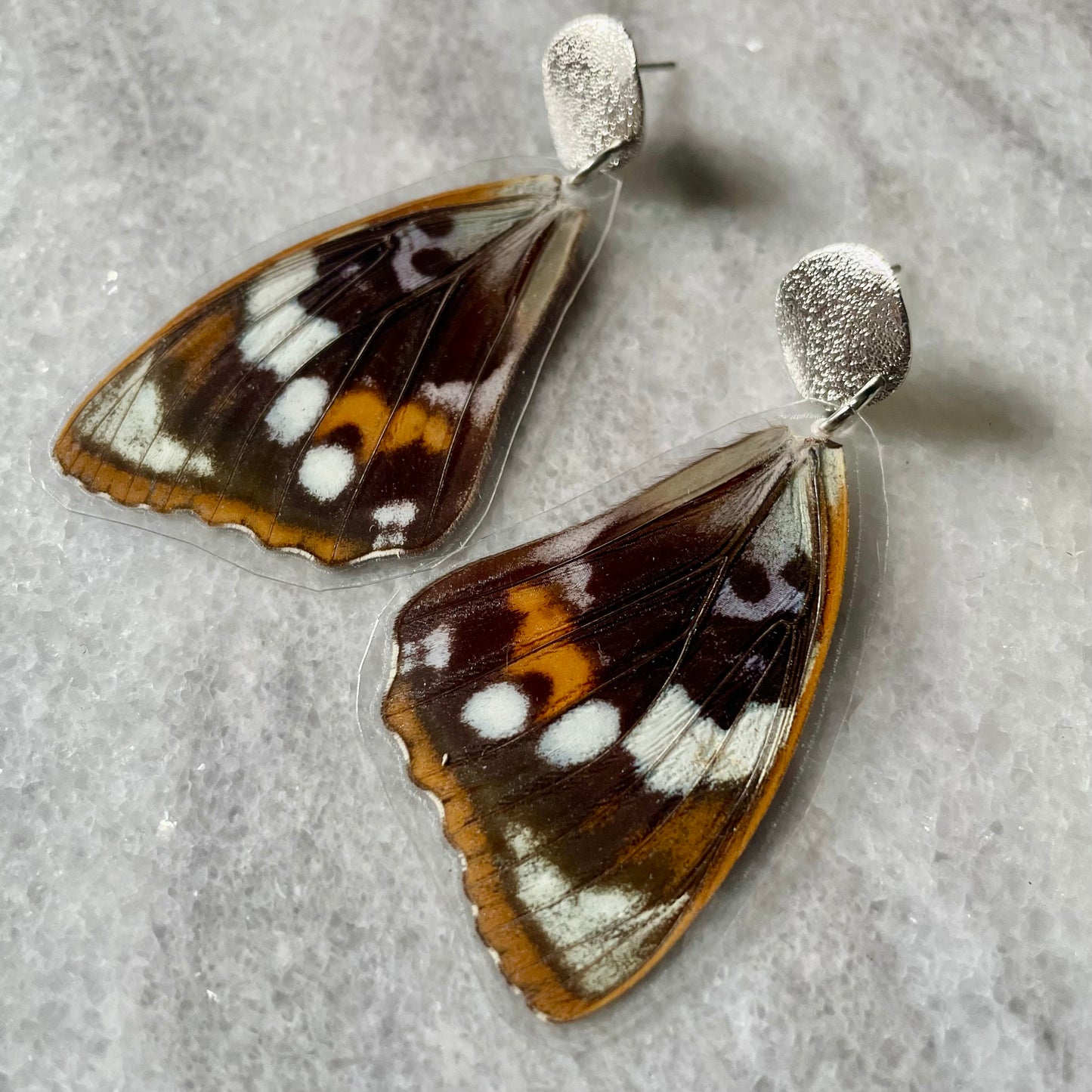 Real Moth Wing Earrings