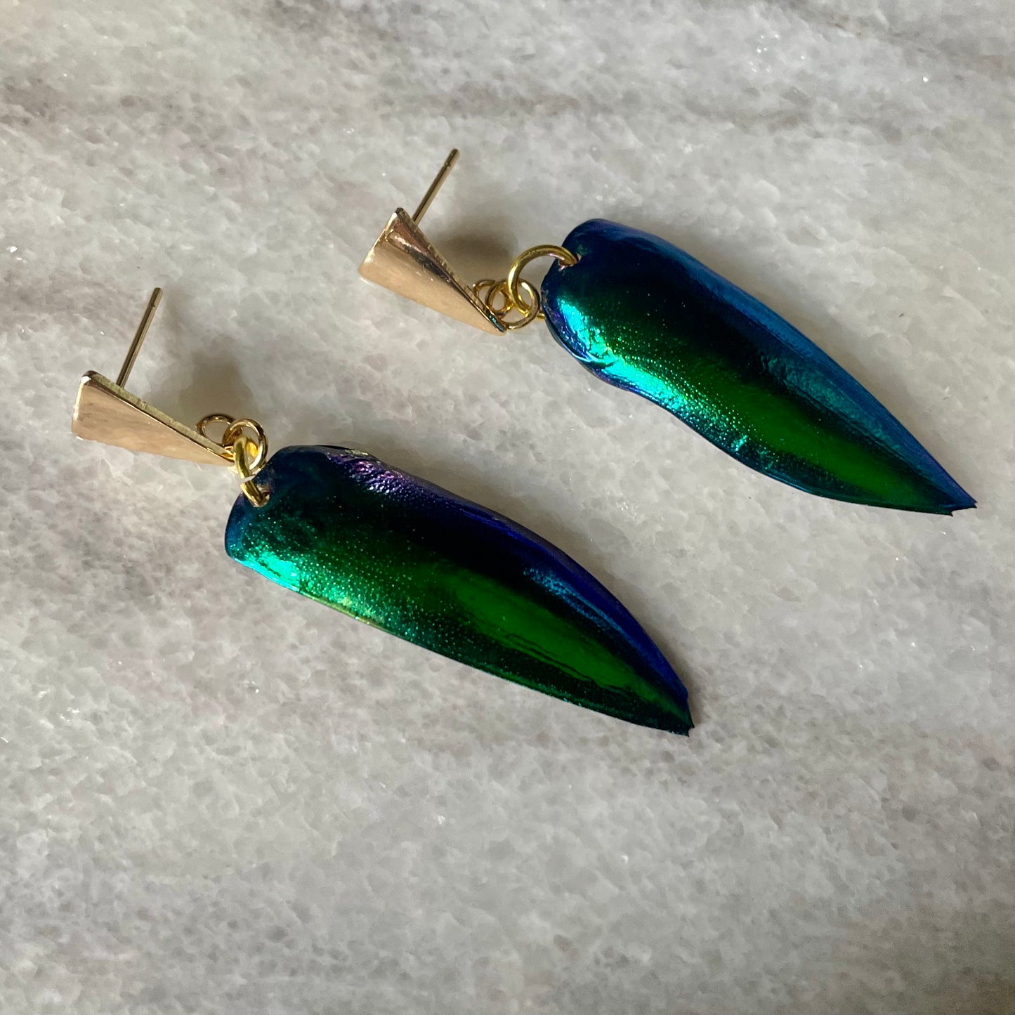 Real Beetle Wing Earrings