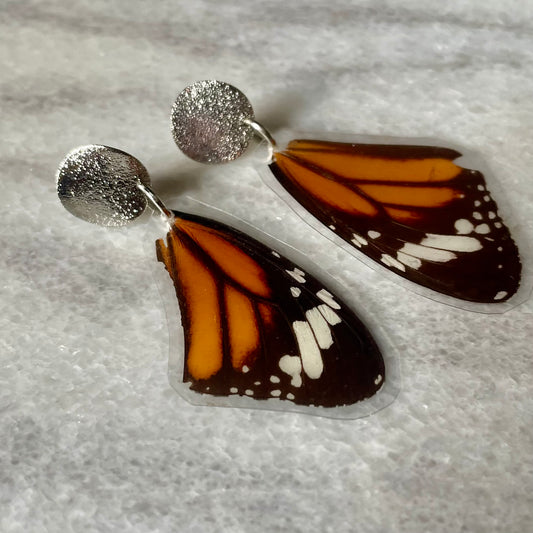 Textured Silver & Real Monarch Butterfly Wing Earrings