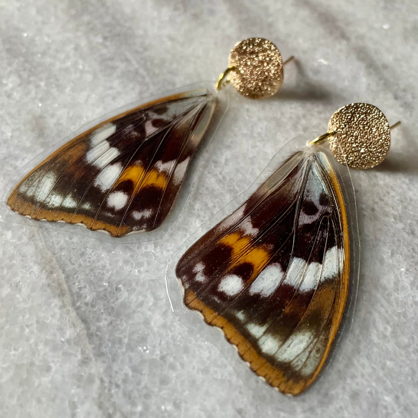 Real Moth Wing Earrings