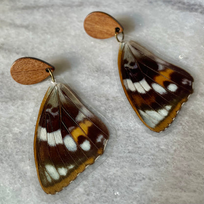 Real Moth Wing Earrings