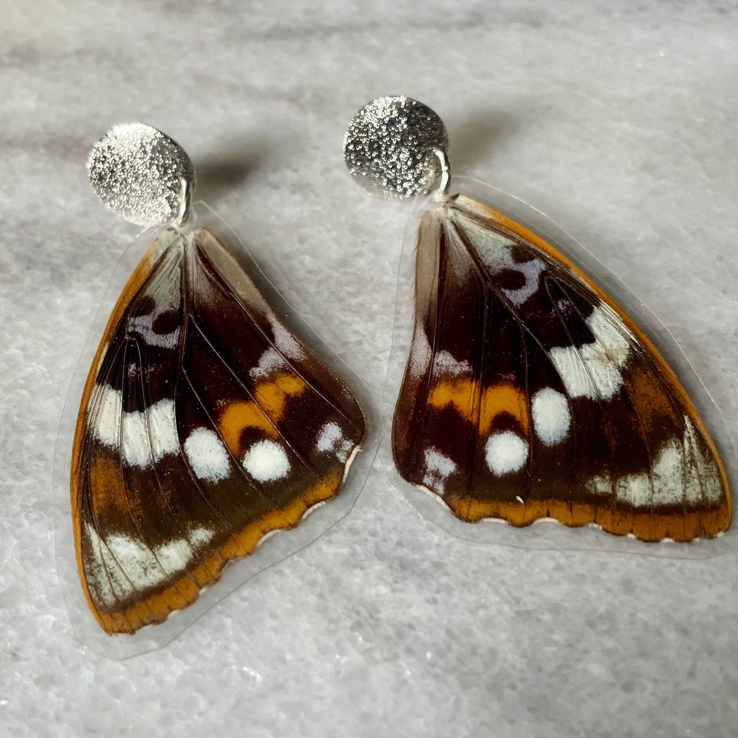 Real Moth Wing Earrings