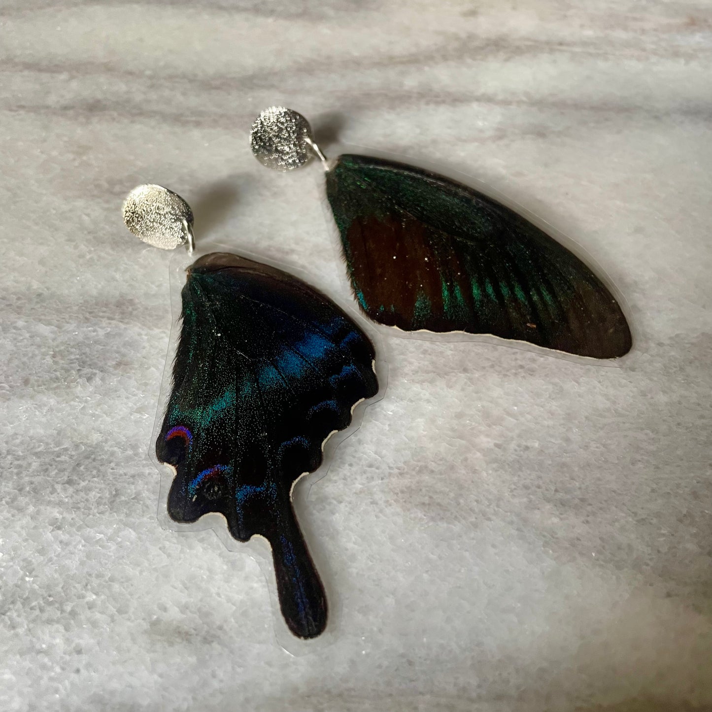 Textured Silver & Real Butterfly Wing Earrings