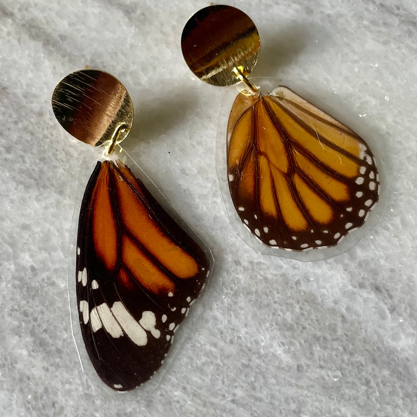 Gold & Real Monarch Butterfly Wing Earrings