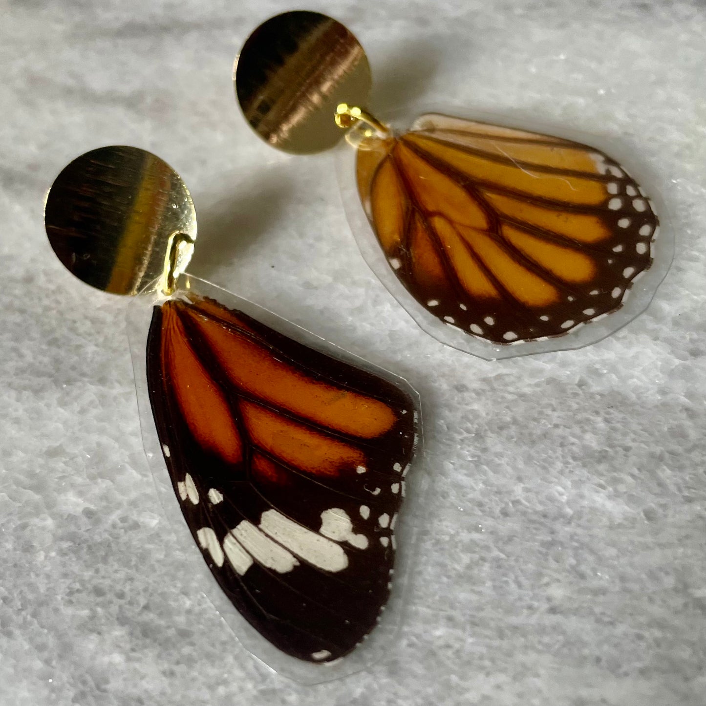 Gold & Real Monarch Butterfly Wing Earrings