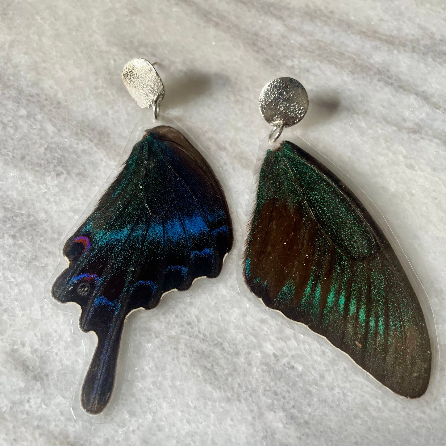 Textured Silver & Real Butterfly Wing Earrings