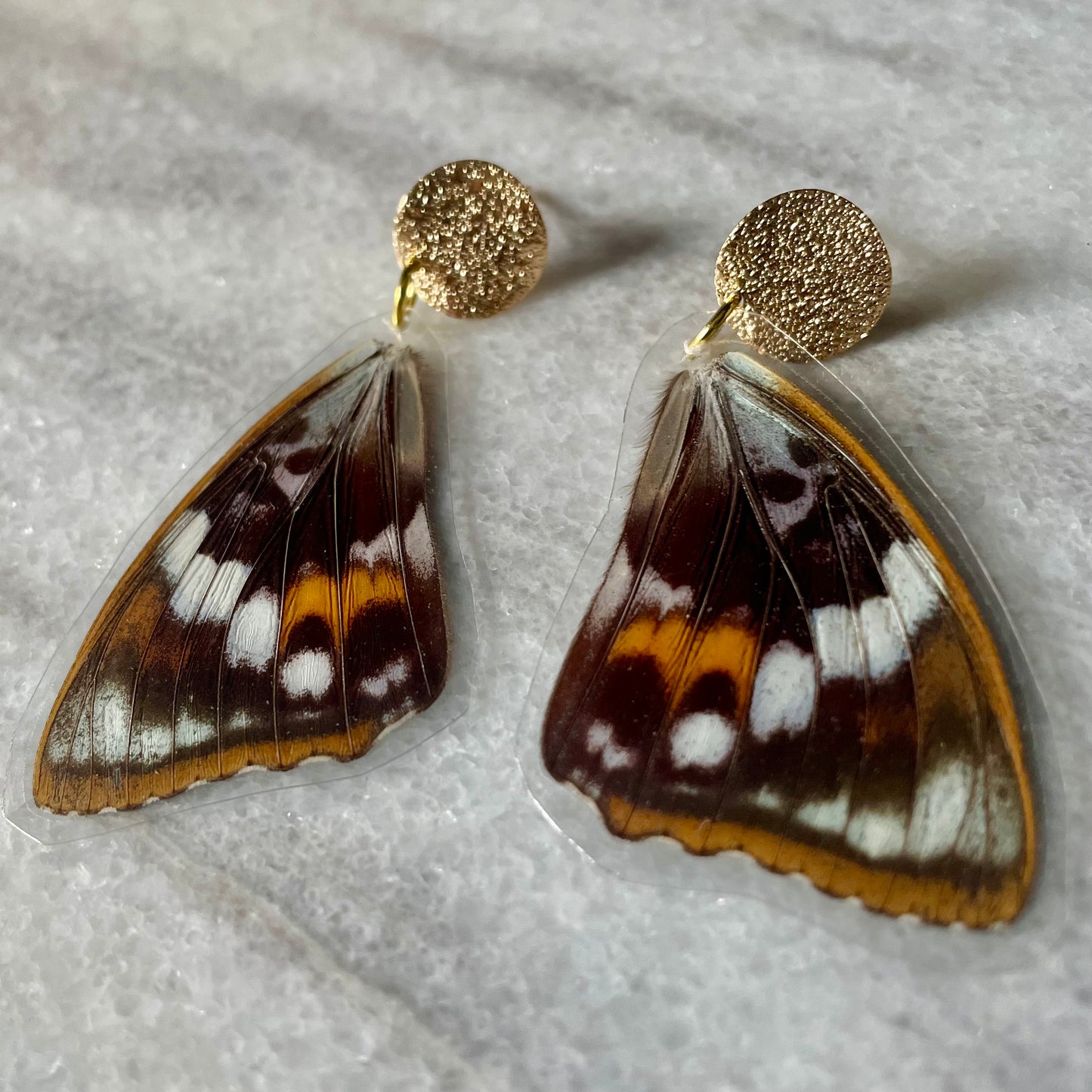 Real Moth Wing Earrings