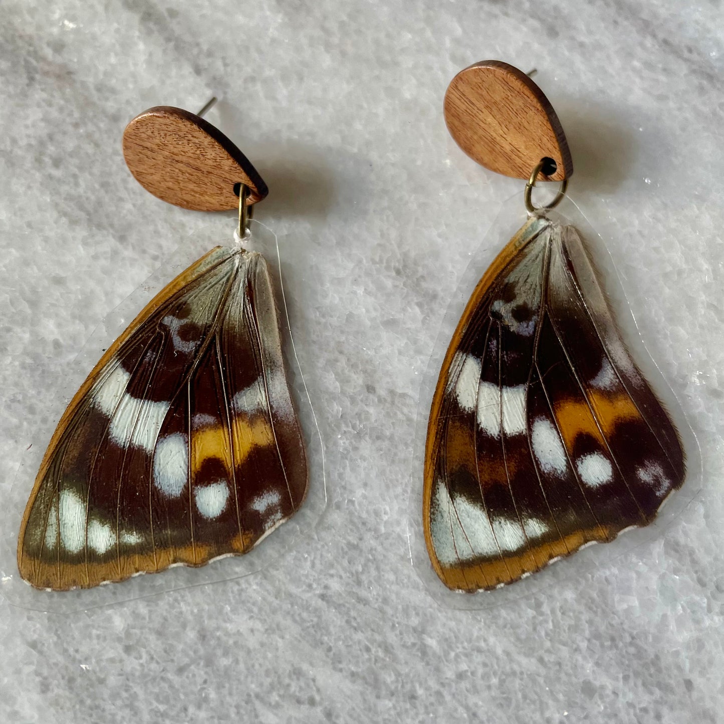 Real Moth Wing Earrings