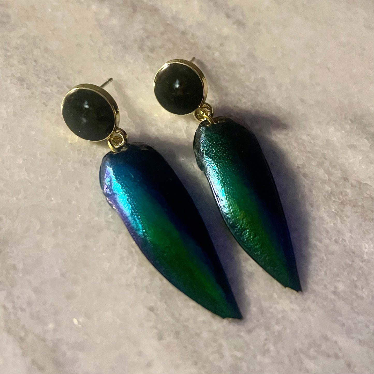 Real Beetle Wing Earrings