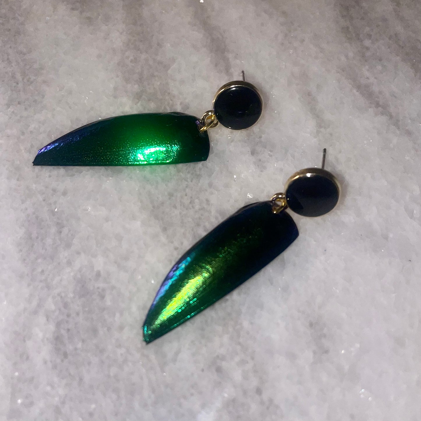 Real Beetle Wing Earrings