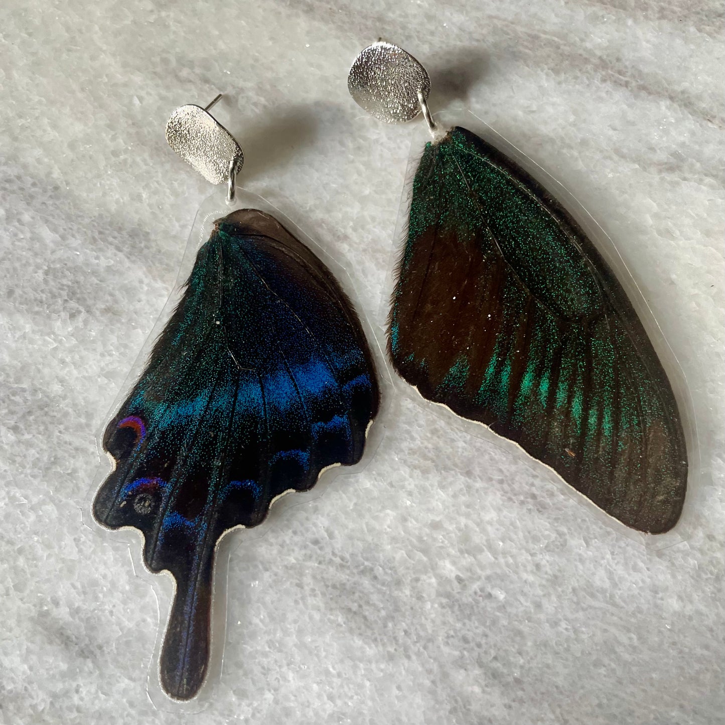 Textured Silver & Real Butterfly Wing Earrings