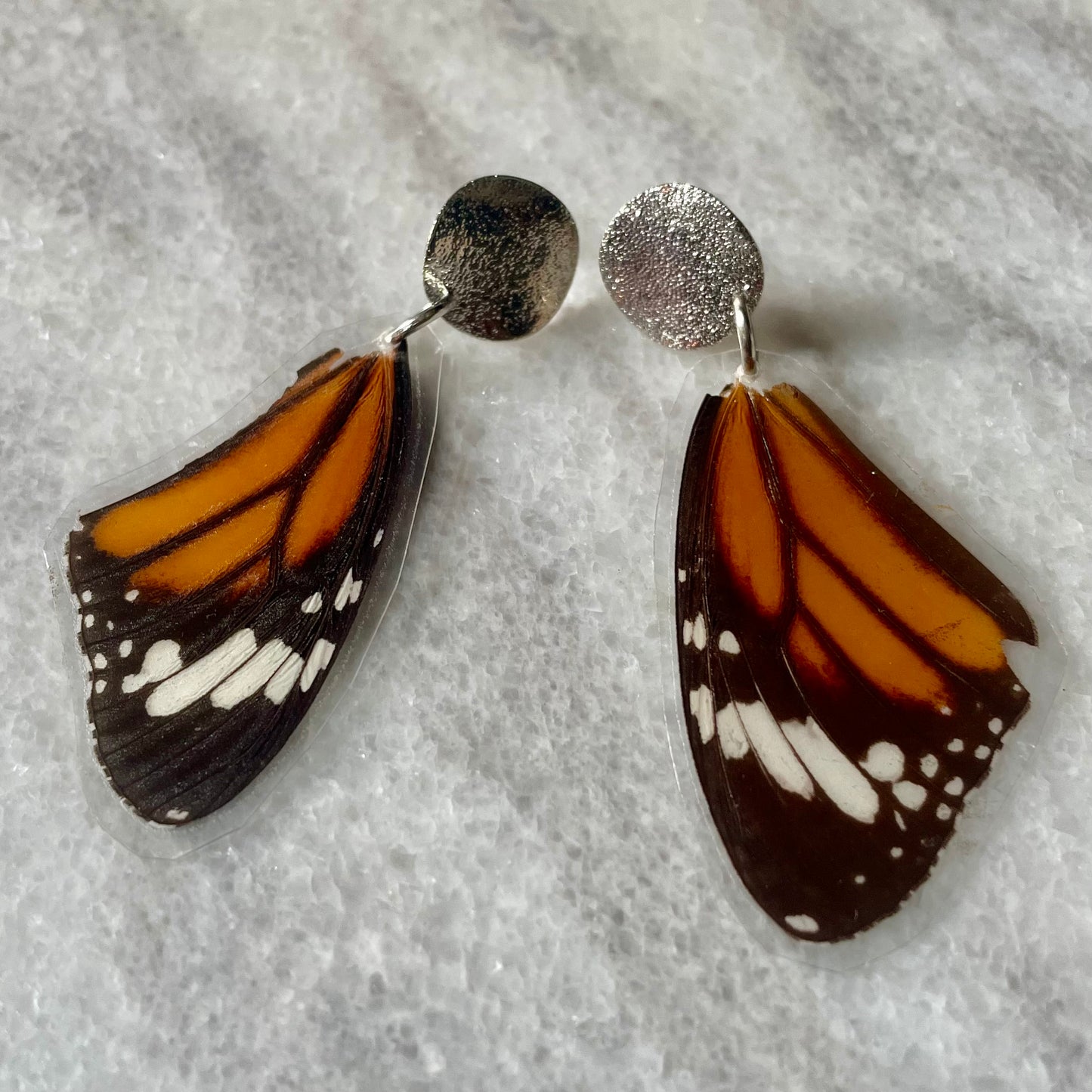 Textured Silver & Real Monarch Butterfly Wing Earrings