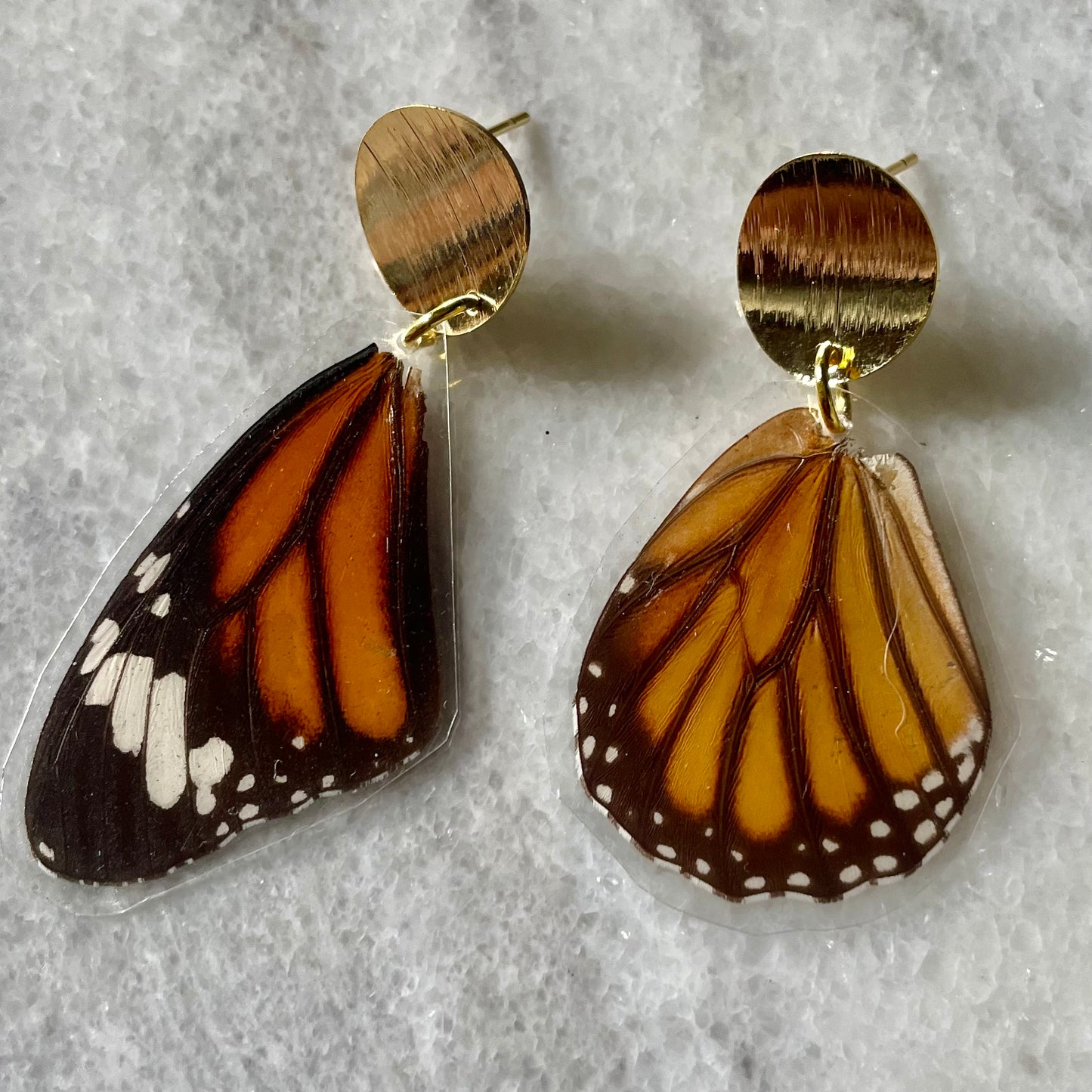 Gold & Real Monarch Butterfly Wing Earrings