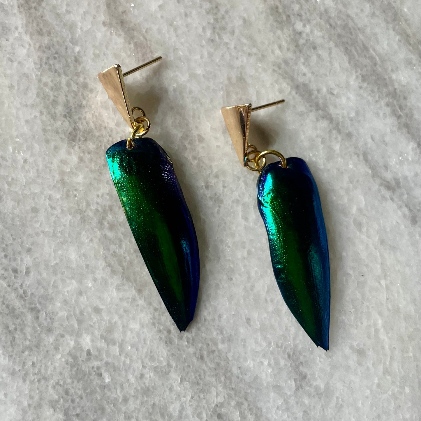 Real Beetle Wing Earrings