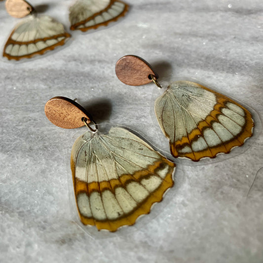 Wood & Real Moth Wing Earrings