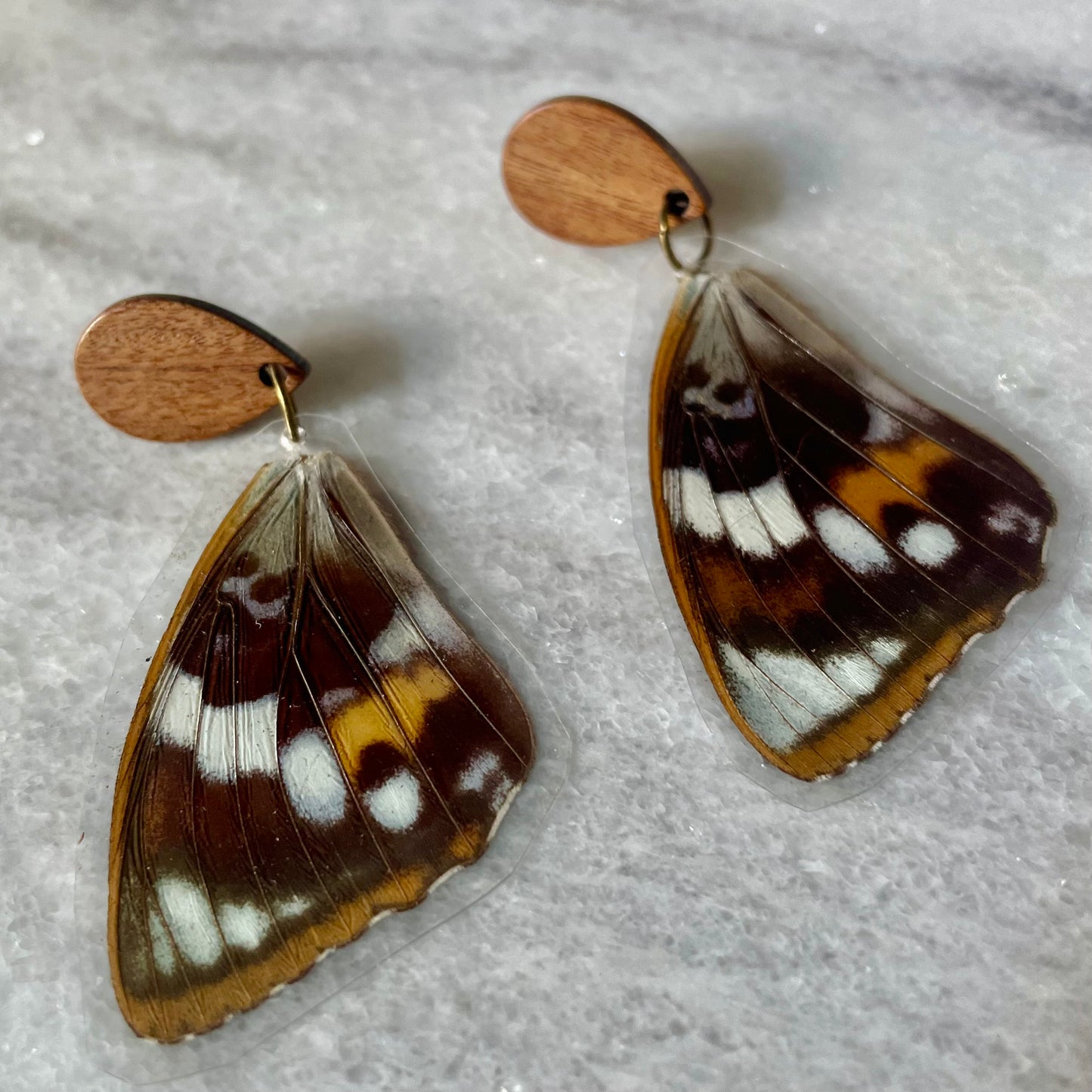 Real Moth Wing Earrings